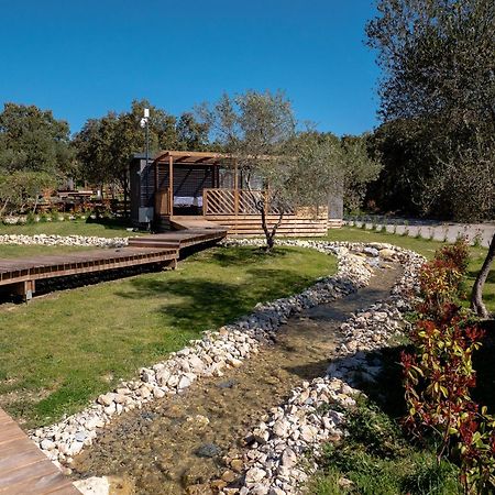 Camping Les Pres Du Roi Sommières Εξωτερικό φωτογραφία