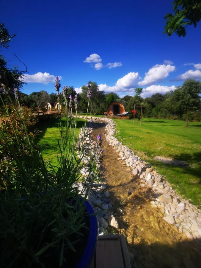 Camping Les Pres Du Roi Sommières Εξωτερικό φωτογραφία