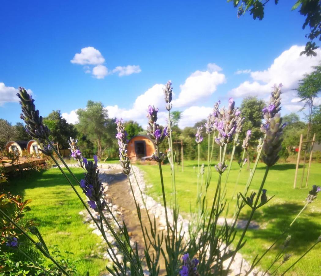 Camping Les Pres Du Roi Sommières Εξωτερικό φωτογραφία